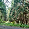 1896年　1933年　2011年　地震と津波は繰り返す　三陸沿岸　No.643-A