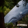 田中一村展への旅『上野恩賜公園・国立西洋美術館・国立科学博物館・東京国立博物館』