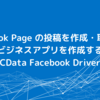 Facebook Page の投稿を作成・取得するためのビジネスアプリを作成する方法：CData Facebook Driver