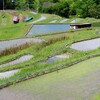 守りゆくこと in 葉山①