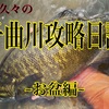 久々の千曲川攻略日記      〜夏の千曲川でバス釣り〜