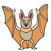 かわいいコウモリ のイラスト