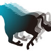 【ターコイズステークス 2024 予想】追い切り･ラップ適性･レース傾向考察 ＆ 各馬評価まとめ / バレバレの適性型よりは