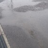秋が来ますか！なのであります！