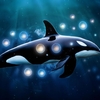 Orca Security の Purge と Purge タイミングについて