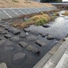 12月21日_新しい場所