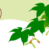 仲夏 のイラスト やへむぐら 季節のイラスト