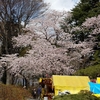 沼田公園散歩です