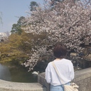 カンボジアの日本人大学生の非日常な日常