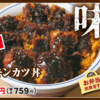 『味噌チキンカツ丼』の濃い濃い感で今年を〆る