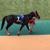 東京競馬9R 調布特別　7 アンダープロット　がんばれぇぇぇぇぇ！！