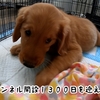 【動画で話せなかったこと】　悩んでいたのは事実です