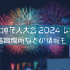 大垣花火大会2024を見てきました。おすすめの鑑賞場所などもご紹介