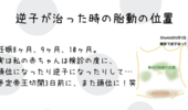 胎動が痛い 膀胱とか大腸がやぶれそう笑になる妊娠29週の逆子くん 知育プット 胎動が痛い 膀胱とか大腸がやぶれそう笑になる妊娠29週の逆子くん 知育プット