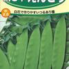 絹さやの赤花と白花の違いは？