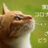 【体験談】もしも家族がコロナにかかったら…感染をくい止めるために我が家で実践した13のこと