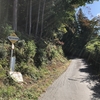 長野県・林道 王城枝垂栗線 ①