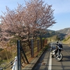 TDR125で、ちょこっと走って来たお話。