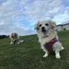 連なる雲の間の青空