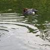 馬見丘陵公園の秋深まる