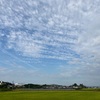 明日から台風12号の雨ですねー