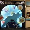 TOKYO MINERAL SHOW 2019 に行きました (^.^/