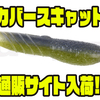 【DEPS】一年中活躍するバス釣りワーム「カバースキャット」通販サイト入荷！