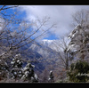 安曇野　【雪景色】　白馬方面も