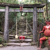 宮崎編　青島神社と鬼の洗濯岩