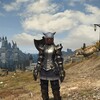 【ゲーム】【PS4】【FF14】斧を振り回せ！（斧術士レベル15になりました）