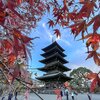 雨の東寺