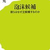 【書評】泡沫候補