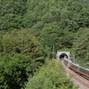 2023鳥居峠の深緑