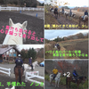  真冬の富士山麓　極寒の乗馬で、汗びっしょりだったね　🏇 (￣▽￣;)