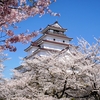 【会津鶴ヶ城のお花見2026】おすすめ写真スポットや桜の撮り方、会津グルメを楽しめるランチをご紹介します！