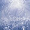 【ワイルズ】Chapter6-2　萌芽の産声