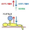 筋トレのネガティブ動作を意識しないと効果はあがらない！？