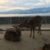 【ヒッチハイク】広島旅　中編