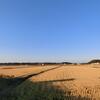 天気の良い土曜日　二度寝した朝　軽くウォーキング、物が多いな・・