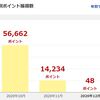 2020年11月の収入内訳