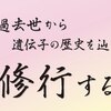 過去世から 遺伝子の歴史を辿り 修行する