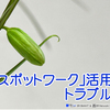 スポットワークと労務トラブル―厚労省が対応へ🌟📌
