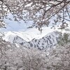 飯豊山（山笑ふ）