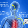 痛みからの解放