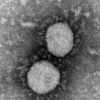WHOの統計は、「新型コロナウイルス感染症（COVID-19）」は完全かつ意図的な詐欺であったことを証明している