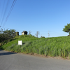 中新里諏訪山古墳　埼玉県児玉郡神川町中新里
