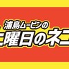 クロントムの野良ネコ定点観測記録2018年7月4週目【土曜日のネコたちへ】