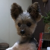 別れと感謝