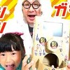 7月27日の動画