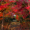 京都紅葉前撮りをお考えの皆さま！素晴らしいロケ地がありますよ！